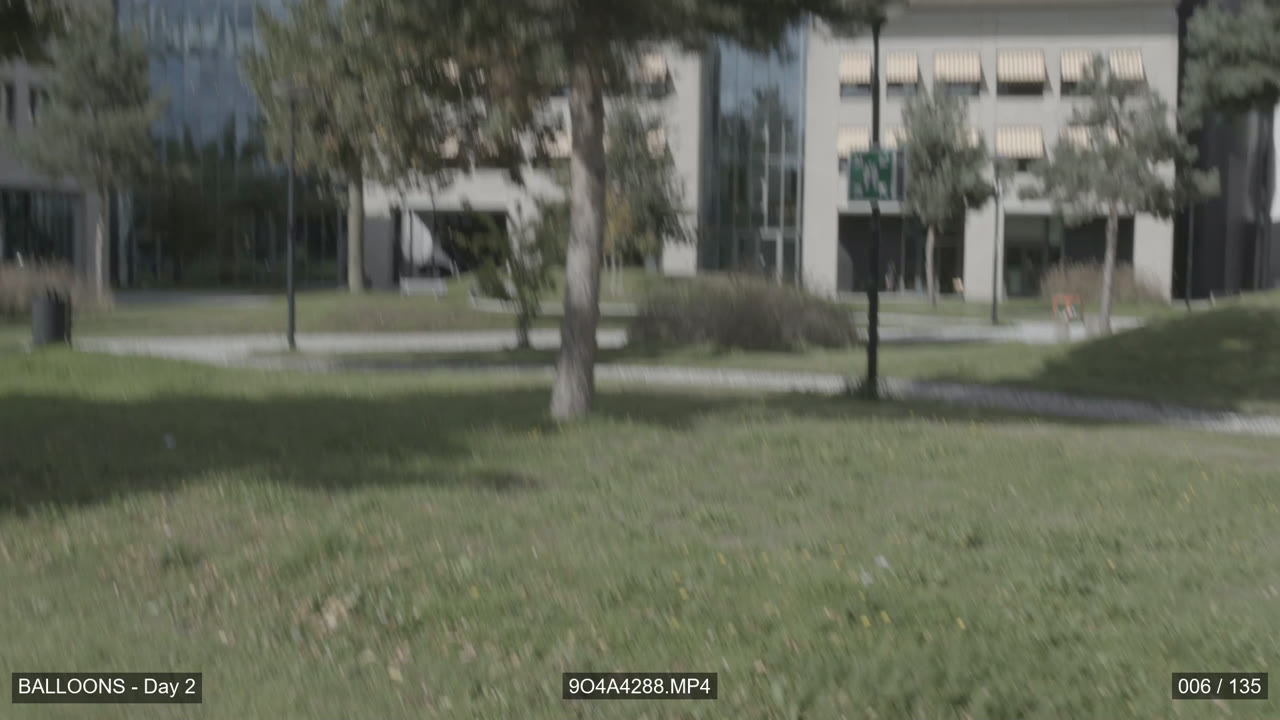 A dailies frame